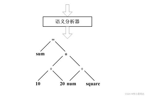 引言：水份的重要性