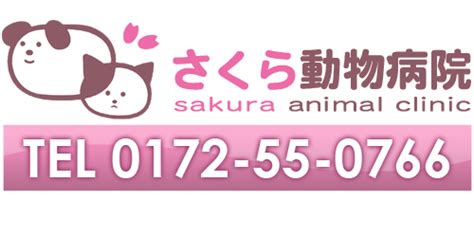 弘前さくら動物病院でペットの健康を守るための包括ガイド