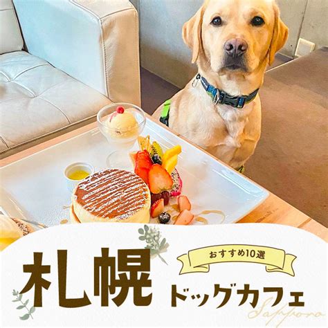 弘前を楽しむ！愛犬と一緒に訪れたいドッグカフェ徹底ガイド