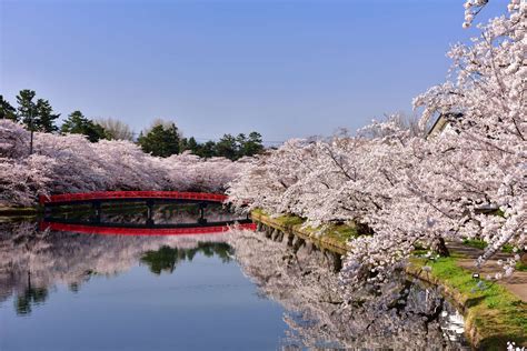 弘前公園酒店簡介