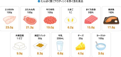 弱った猫は、エネルギー、タンパク質、水分をより多く必要とします。