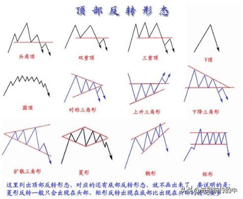 形態學同源：