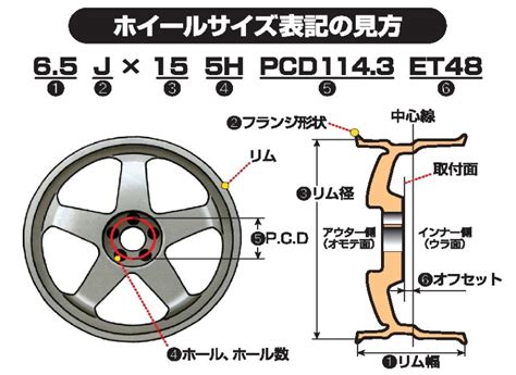 形状とサイズ: