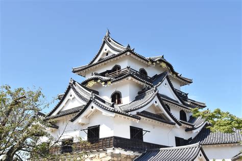 彦根城の犬と犬文化