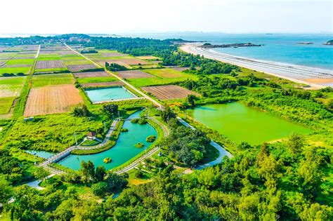 影島: 打造智慧綠能生態島