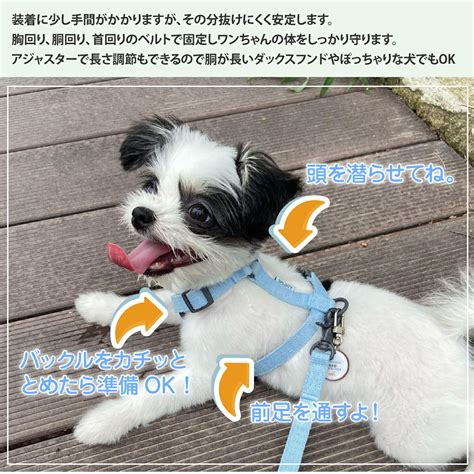 後ずさり 抜け にくい ハーネスで愛犬の安全を確保