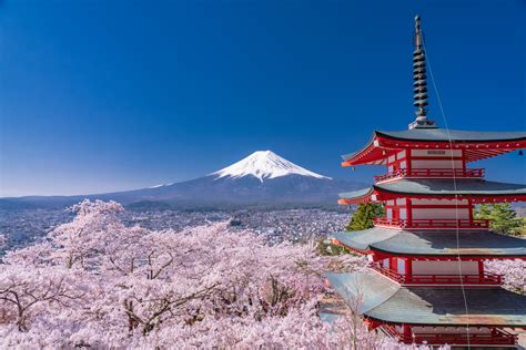 從東京前往山中湖