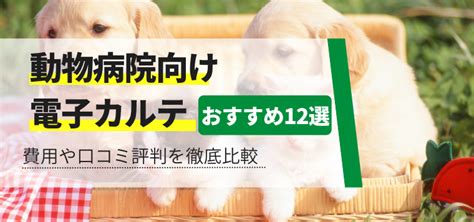 御殿場インターで評判の動物病院徹底比較！診療内容や設備を網羅的にご紹介