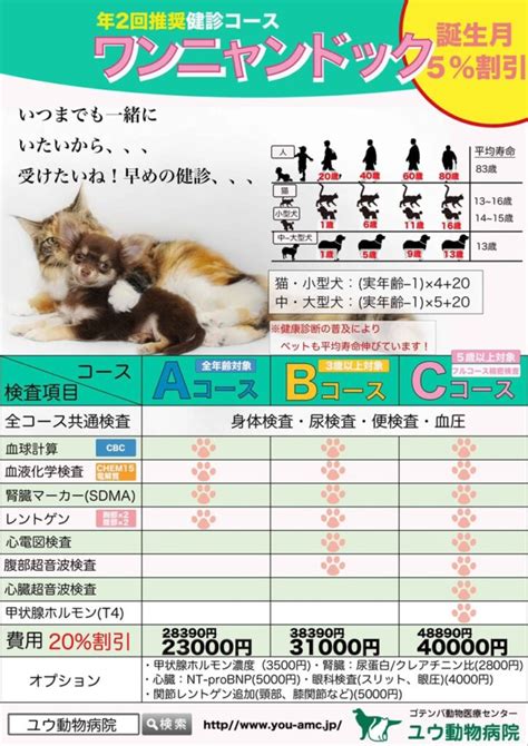 御殿場インター動物病院でペットの健康を守ろう！