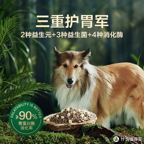 御用犬粮：宠爱爱犬的奢华盛宴