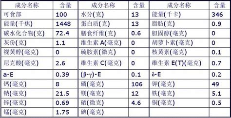 微觀層面：乾糧的組成和營養價值