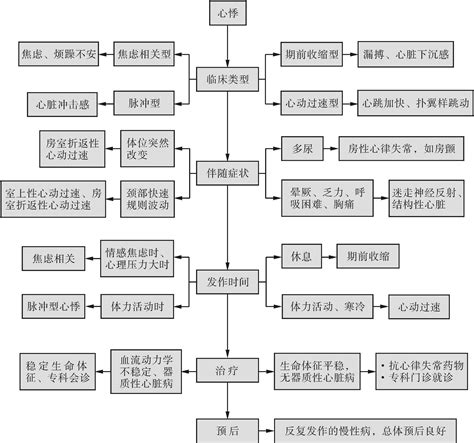 心悸位置