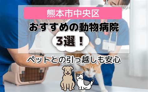 心斎橋でおすすめの動物病院10選：ペットの健康を最優先にした医療機関