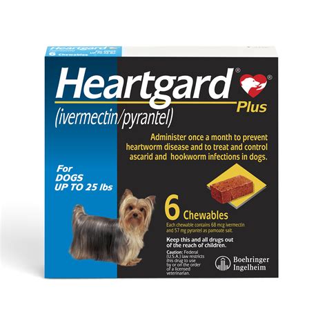 心絲蟲防護全攻略：Heartgard HK 讓你愛犬遠離心絲蟲威脅