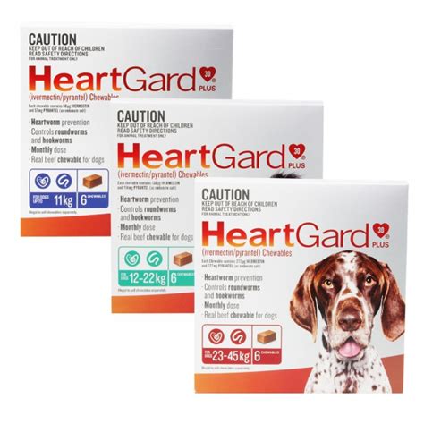 心絲蟲預防藥Heartgard®：守護毛孩心臟健康的關鍵