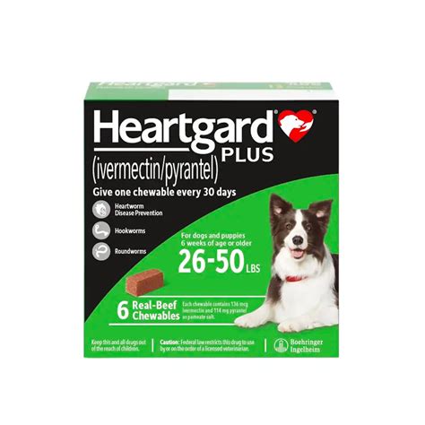 心臟寶衛，守護家園：Heartgard HK