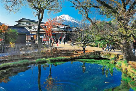 忍野八海でペットと過ごすためのガイド