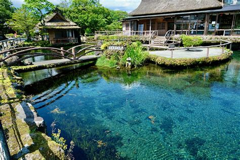 忍野八海ペットと楽しむ旅 ～愛犬との思い出作りと注意点～