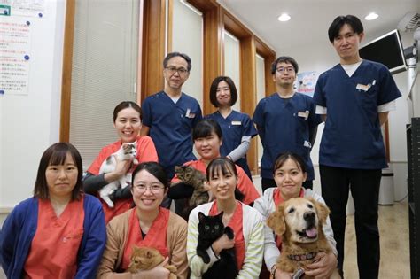 志木 いわい動物病院で愛犬・愛猫の健康を守る！