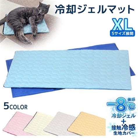 快適な睡眠を愛猫へ！クールジェルマットで夏の暑さを乗り切る