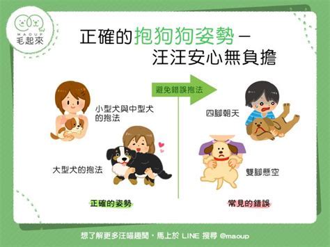 怎麼抱狗：讓愛犬舒適又安全的擁抱指南