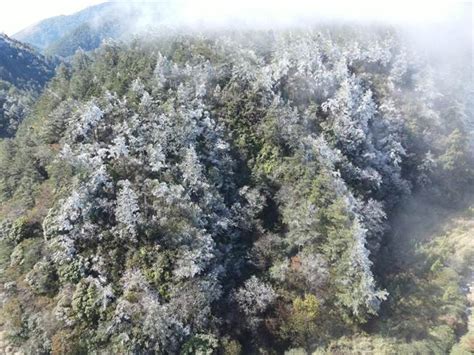 思源啞口住宿：絕美高山賞景，享受大自然的擁抱