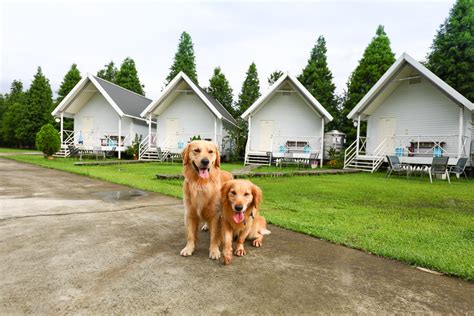 悅來居莊園寵物