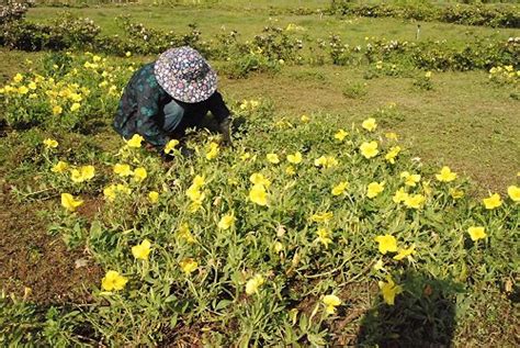 悉心呵護：全方位打造個人儀容魅力