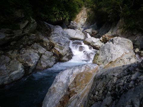 悠遊山林，親近大自然，身心靈的療癒之旅