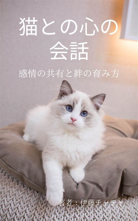 愛くるしい相棒: ついてくる猫との心温まる絆