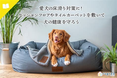 愛するカーペットを滑りから守ろう！