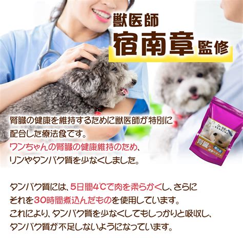 愛する犬のための愛情ごはん: 健康と幸せを育むためのガイド