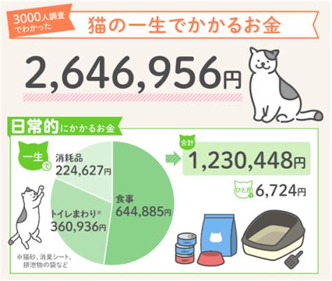 愛する猫の生涯に、真の健康と幸福をもたらす