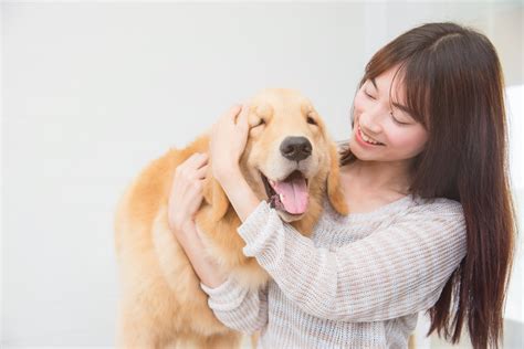 愛情ごはんで愛犬の健康と幸せを保つ