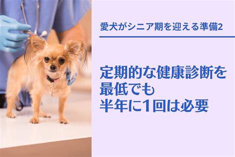 愛犬がシニア期を迎えると、食欲不振や偏食になることがあります。そんなとき、飼い主はどう対処すればよいのでしょうか。