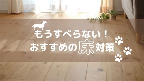 愛犬がフローリングで滑らない！安心・快適にお散歩するための対策