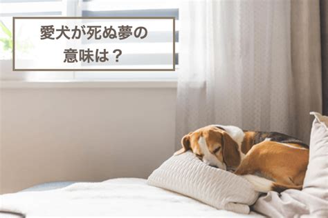 愛犬が出てくる夢：その意味と解釈