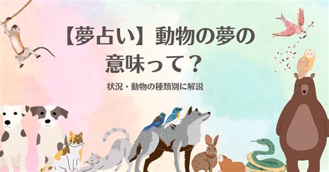 愛犬が出てくる夢：意味や解釈、夢占い