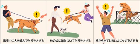 愛犬が噛む～咬傷事故を予防するために飼い主ができること～