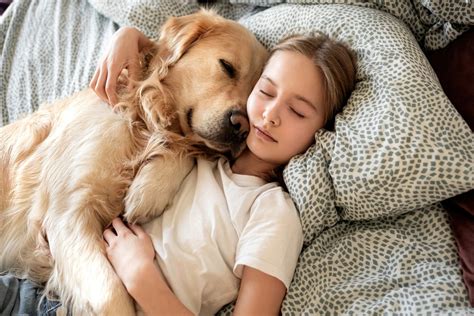 愛犬が飼い主の上で寝る理由