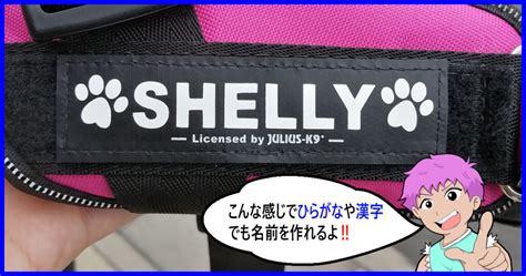 愛犬との安全で快適な散歩に欠かせない ケーナインハーネスの選び方と使い方