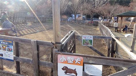 愛犬との富士吉田の旅を満喫！「道の駅富士吉田ドッグラン」徹底ガイド