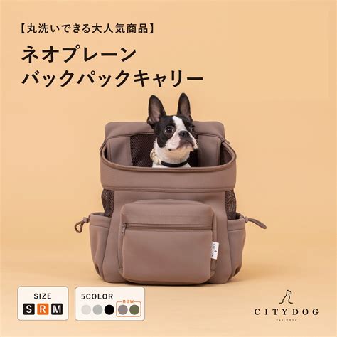 愛犬との快適なお出かけに！リュックキャリー犬でストレスフリーに