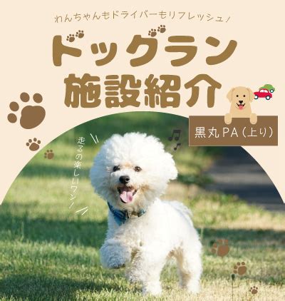 愛犬との快適な外出に欠かせない！ドックウェアの選び方とおすすめ10選