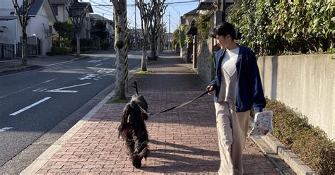 愛犬との永遠の別れ