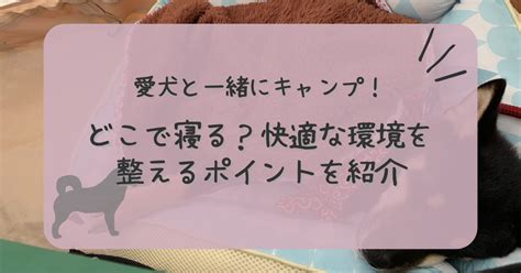 愛犬と一緒にどこへでも！便利なトートバッグ活用術