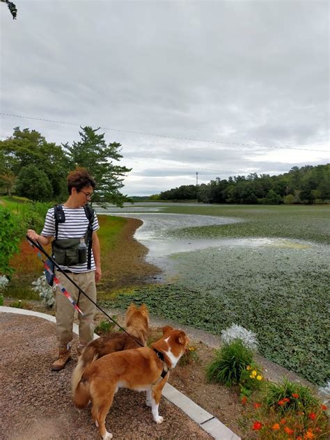 愛犬と一緒に加西フラワーセンターに出かけよう！