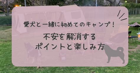 愛犬と一緒に楽しむキャンプ場ガイド