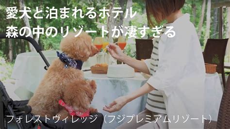 愛犬と一緒に河口湖で過ごす、かけがえのない時間