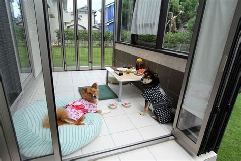 愛犬と幸せに暮らすための屋外飼育